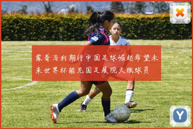 蒙哥马利期待中国足球崛起希望未来世界杯能见国足展现天赋球员