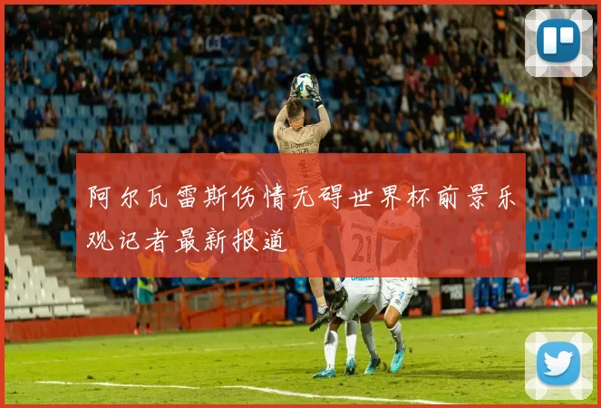 阿尔瓦雷斯伤情无碍世界杯前景乐观记者最新报道